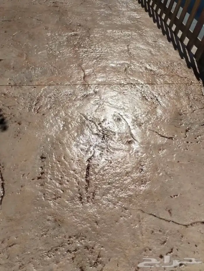 صب  مروح  صب  مطبوعات مصتودعات صب  س ريت 6