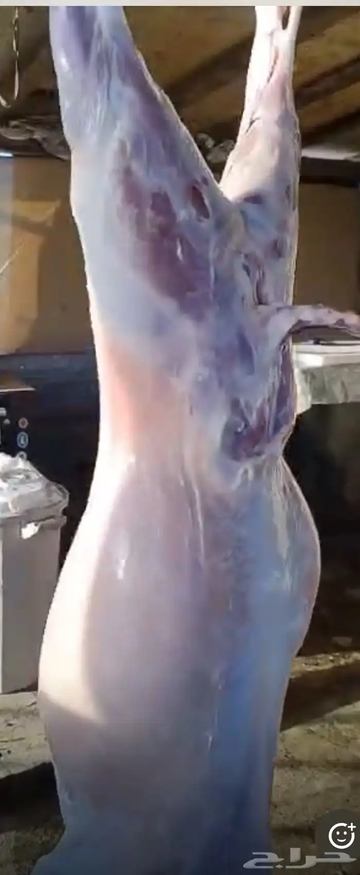 ذبايح 2