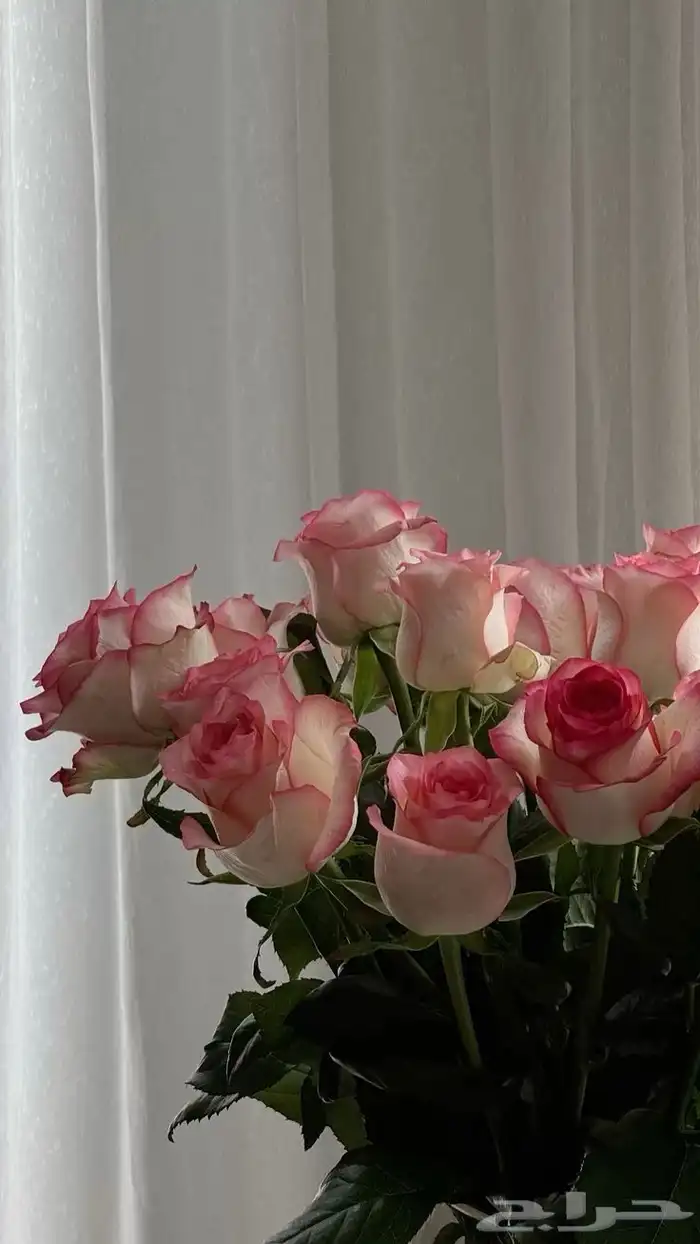 معل قة صوتية محترفة تقدم لك صوت يجذب الانتباه 0