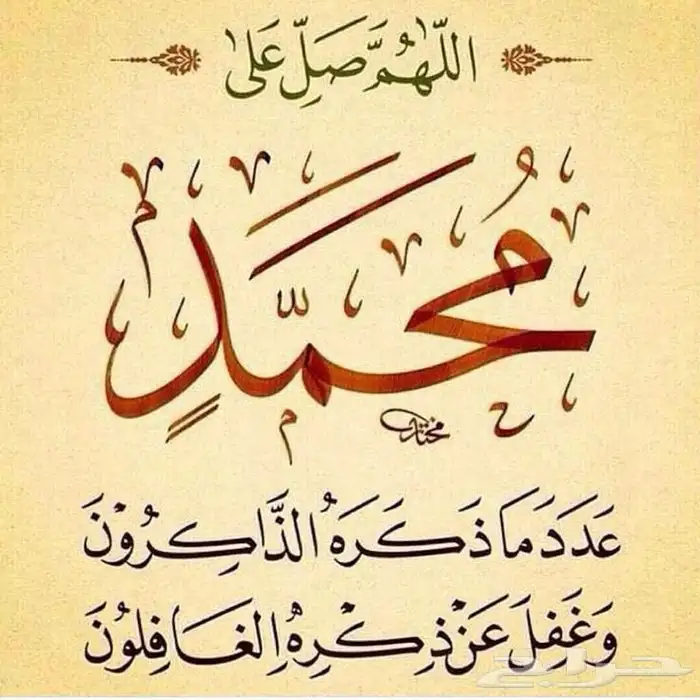 ارغب في شقه صغيرة 0