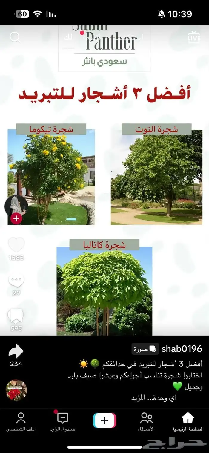 الزراعة الثيل الطبيعي وتركيب شبكات الري العادي والاتوماتيك 3