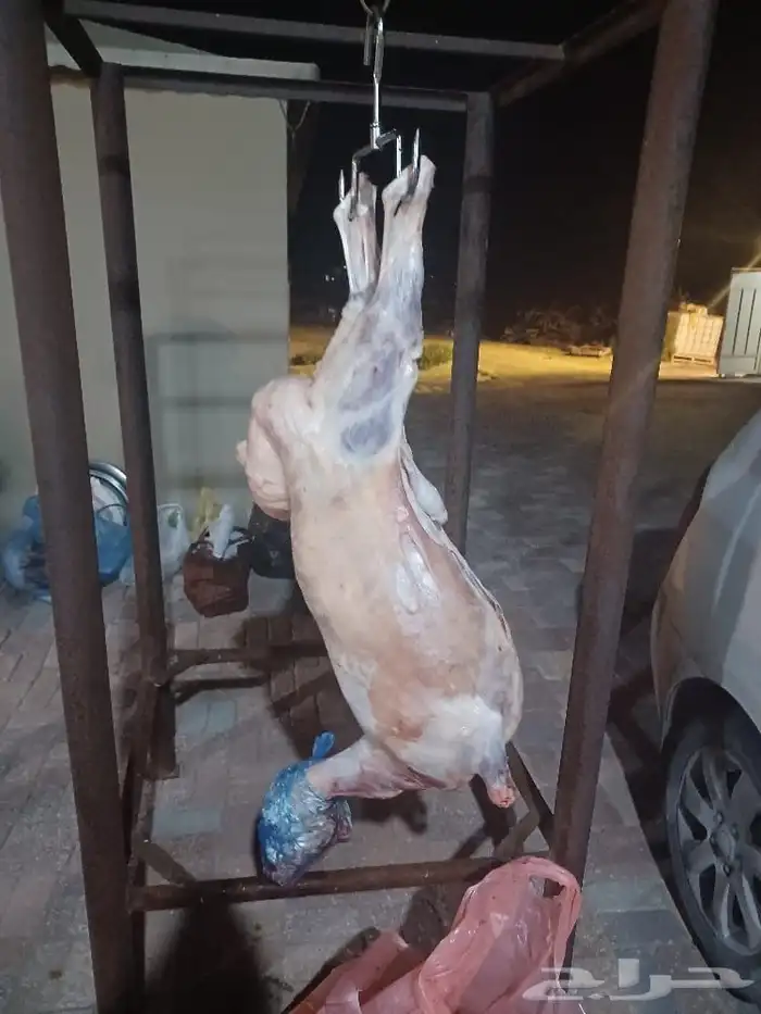 شيف ابو تيا   للمشويات الخارجية في الدمام والخبر شوي خارجي 9