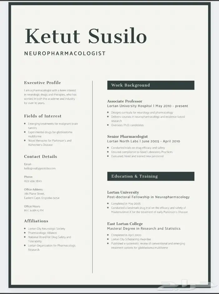 تصميم سيرة ذاتية احترافية CV 2