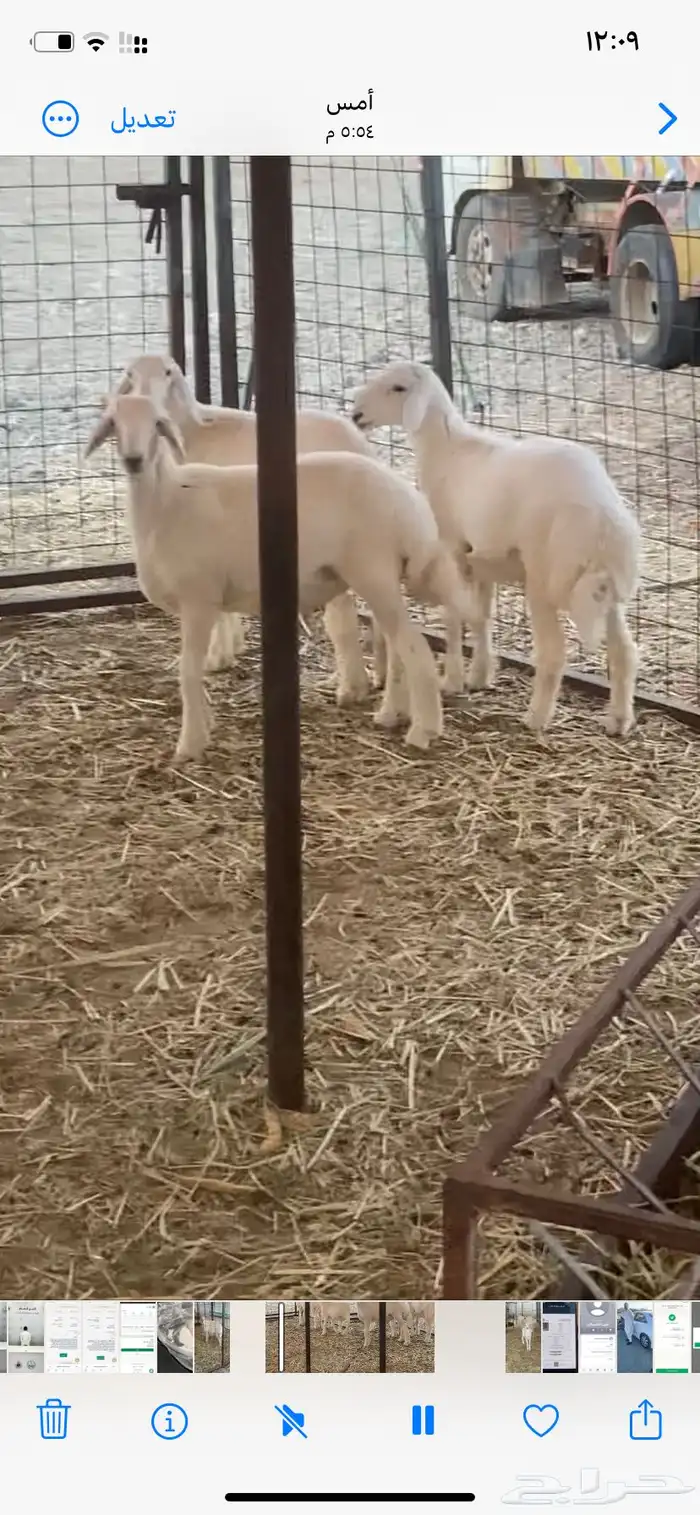 بهم للبيع الموقع كرا 2