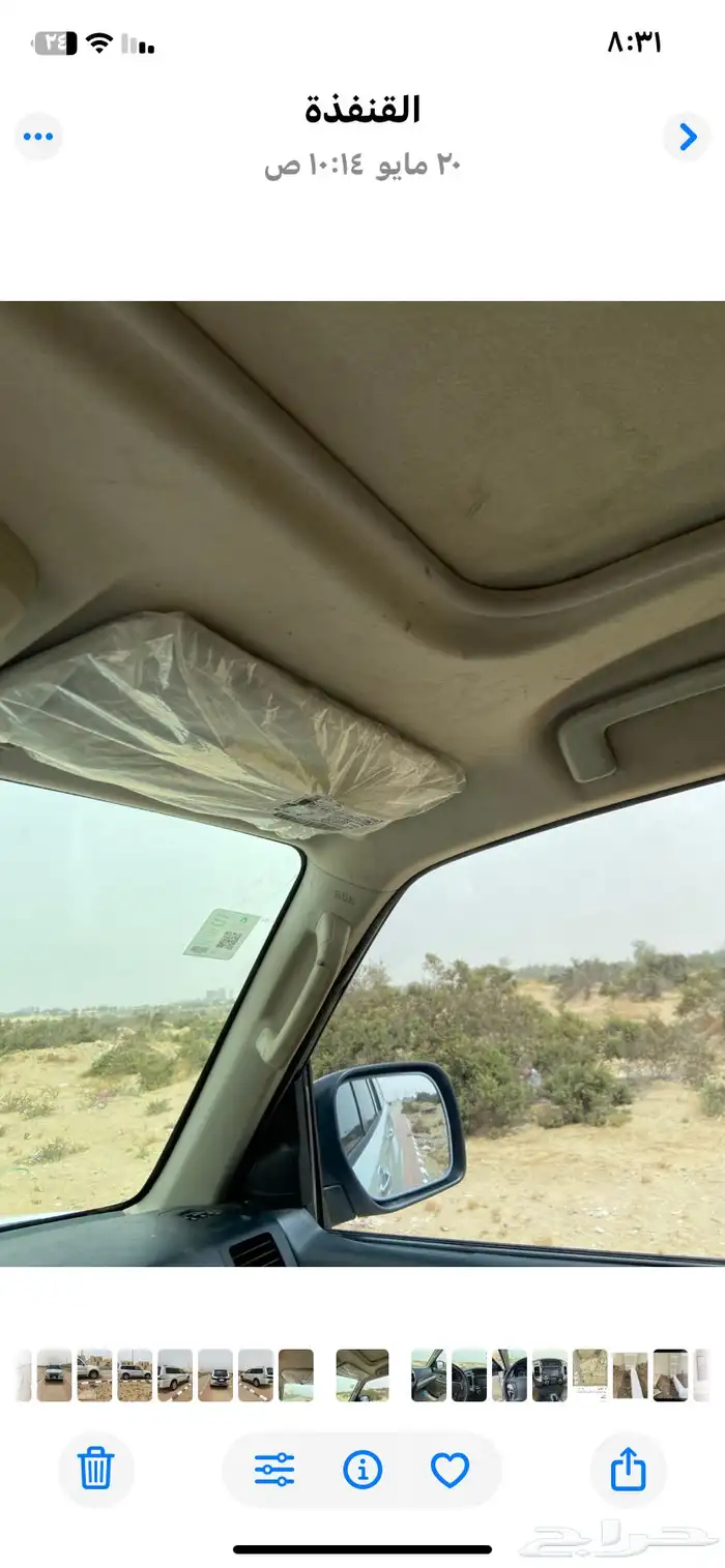 القنفذه 9