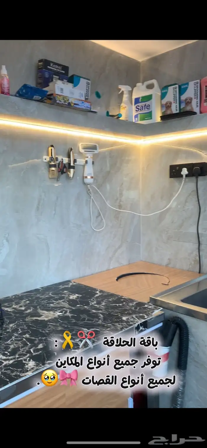 - عناية وترويش قطط وحلاقة بعرض خاص 5