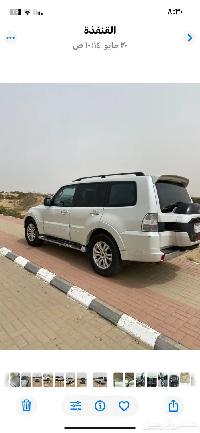القنفذه 2
