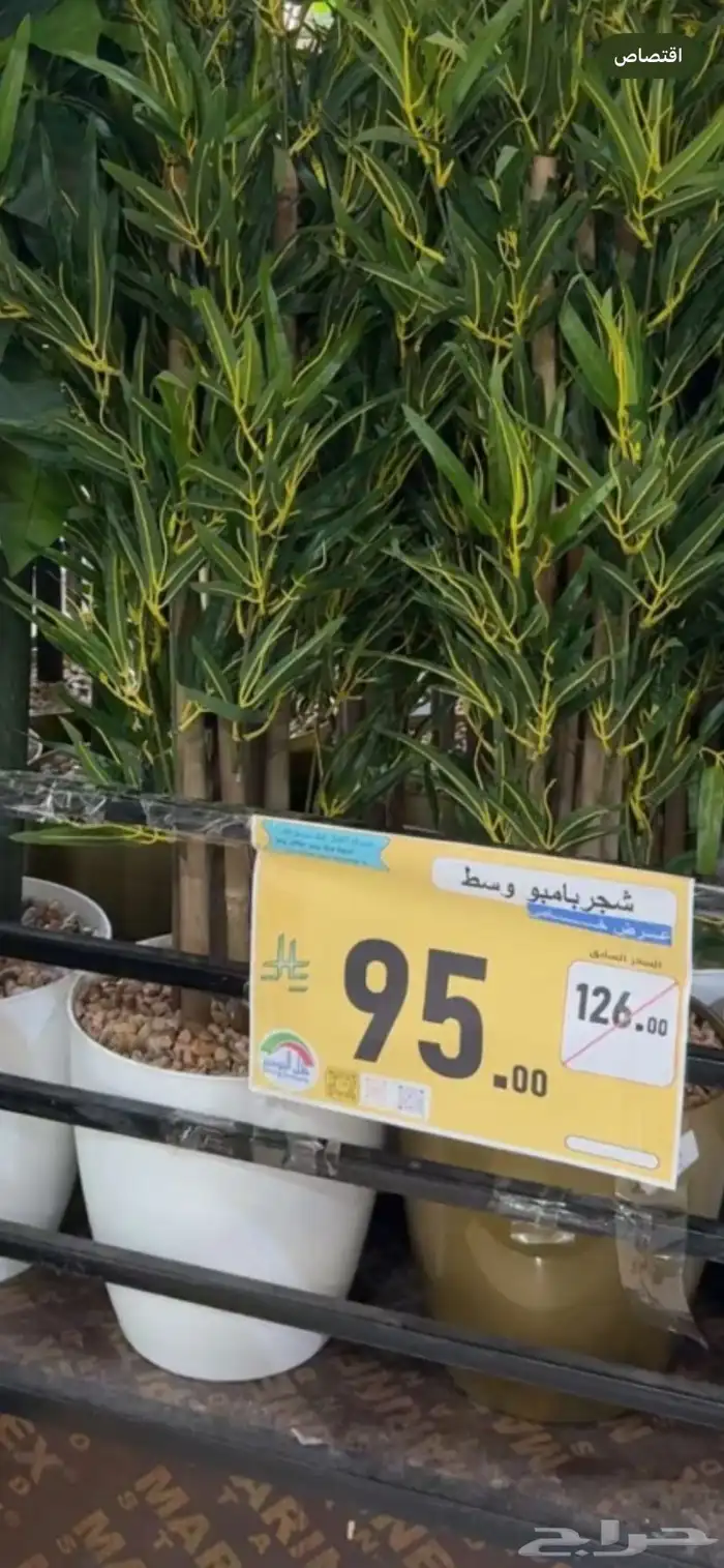 تحف وغازات 13