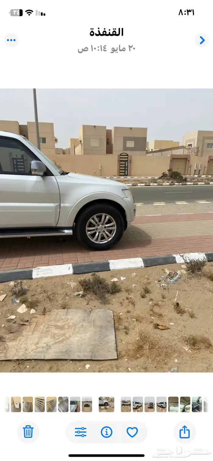 القنفذه 1