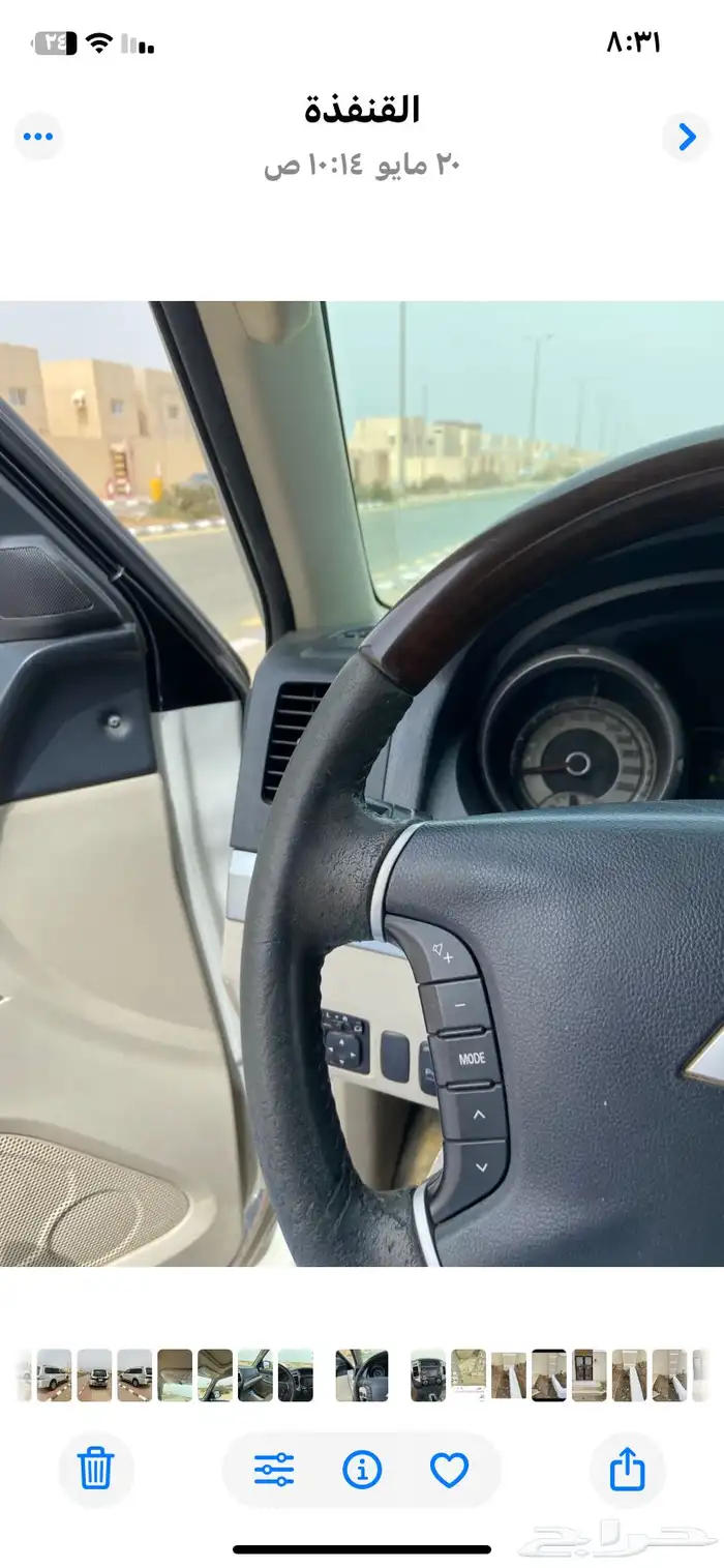 القنفذه 7