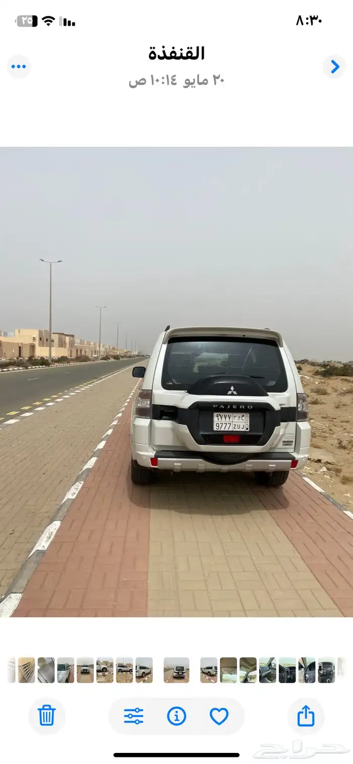 القنفذه 4