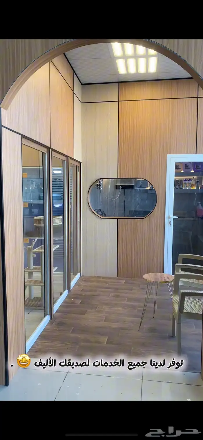 - عناية وترويش قطط وحلاقة بعرض خاص 1