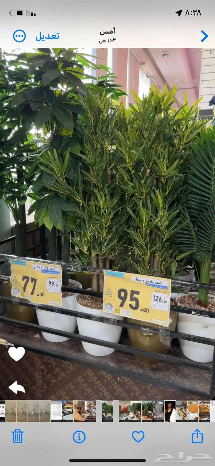 تحف وغازات 14