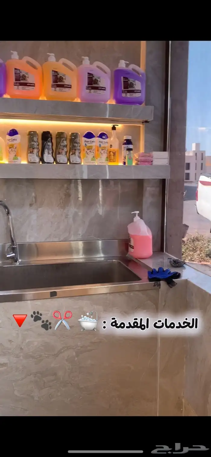 - عناية وترويش قطط وحلاقة بعرض خاص 3