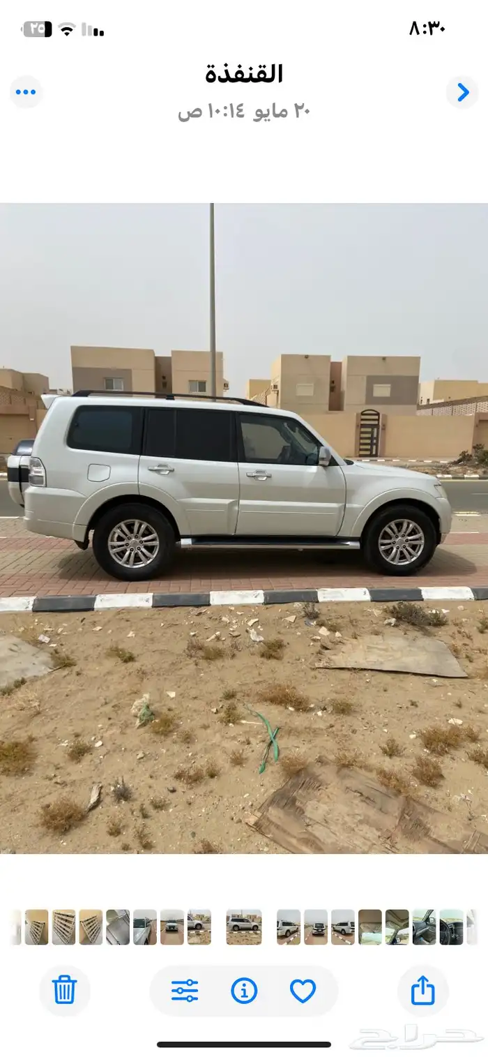 القنفذه 3