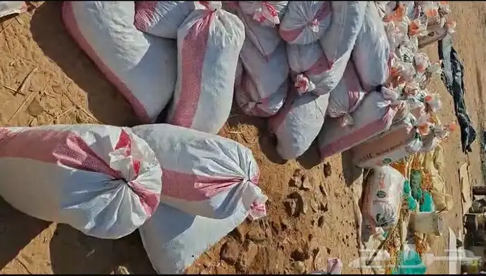 تمر ناشف كله سكري للحلال وشرط 1