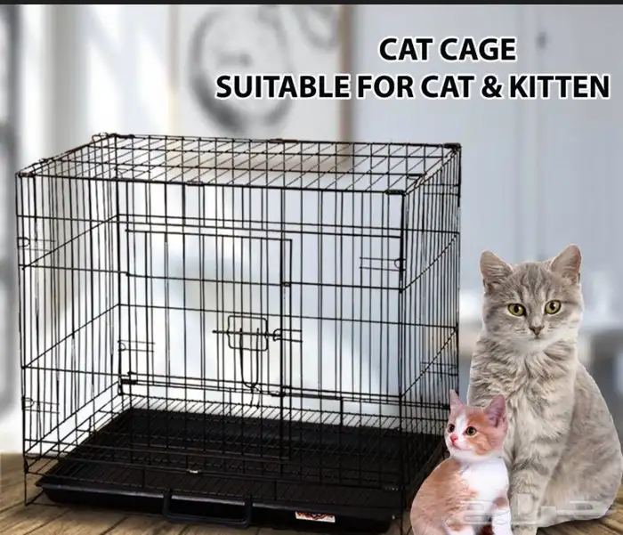 Cat 0