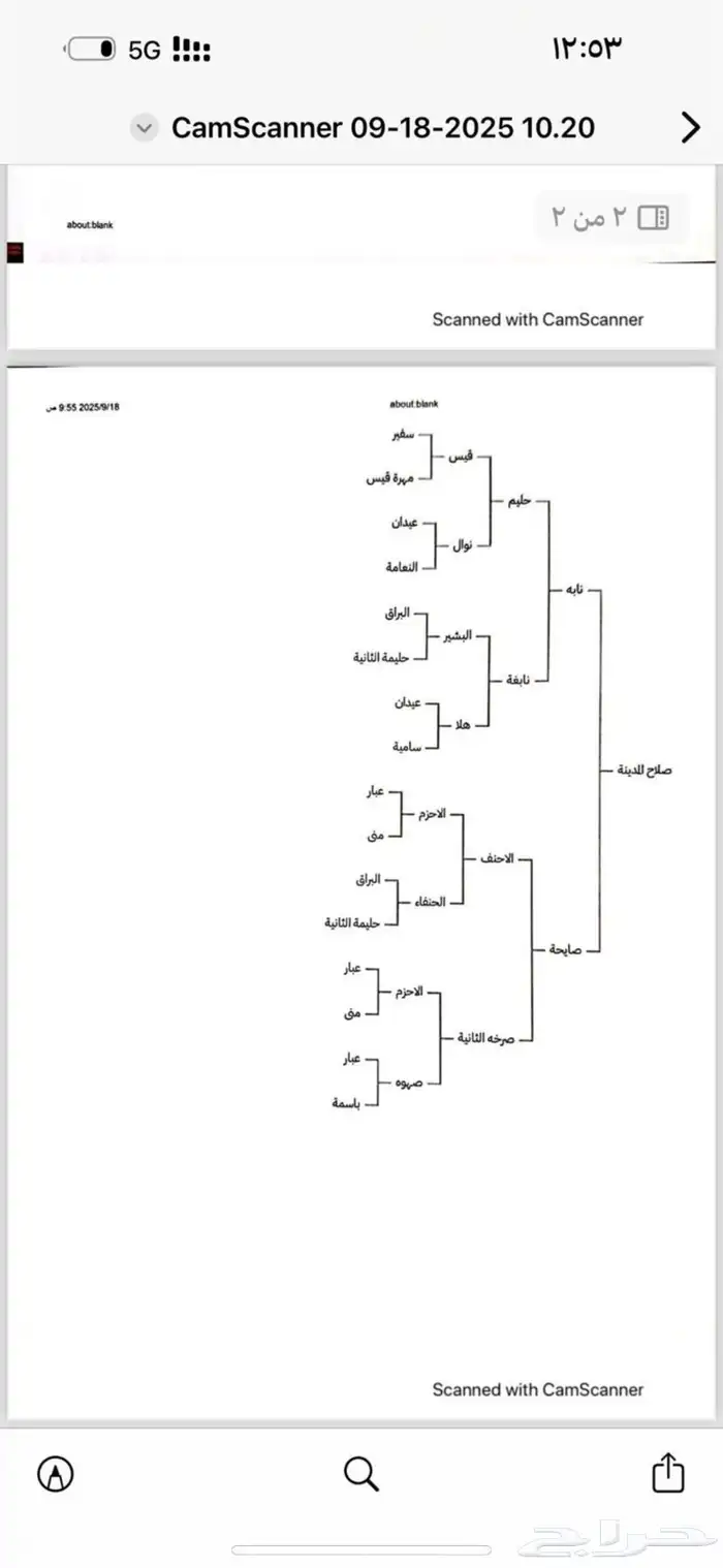 حصان جزيري بيور 8