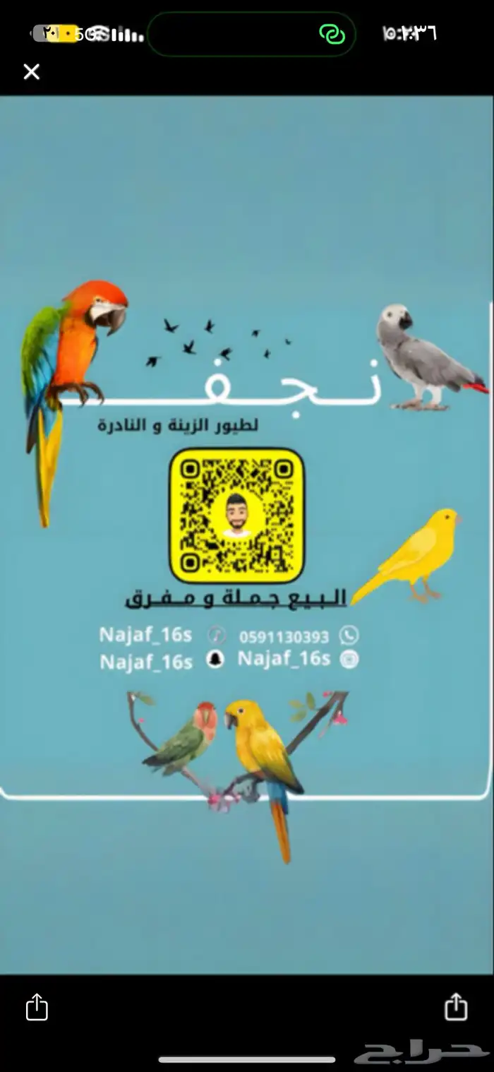 زوج دره كليرتل 1