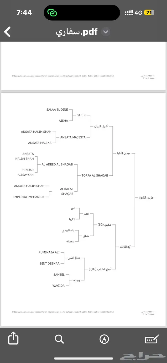 حصان واهو 3