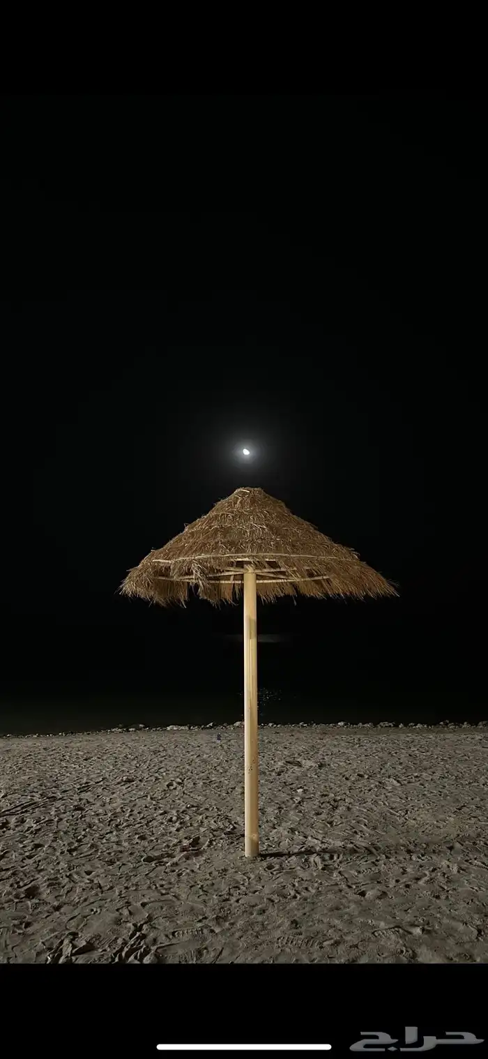 نبي شقه اربع غرف 0