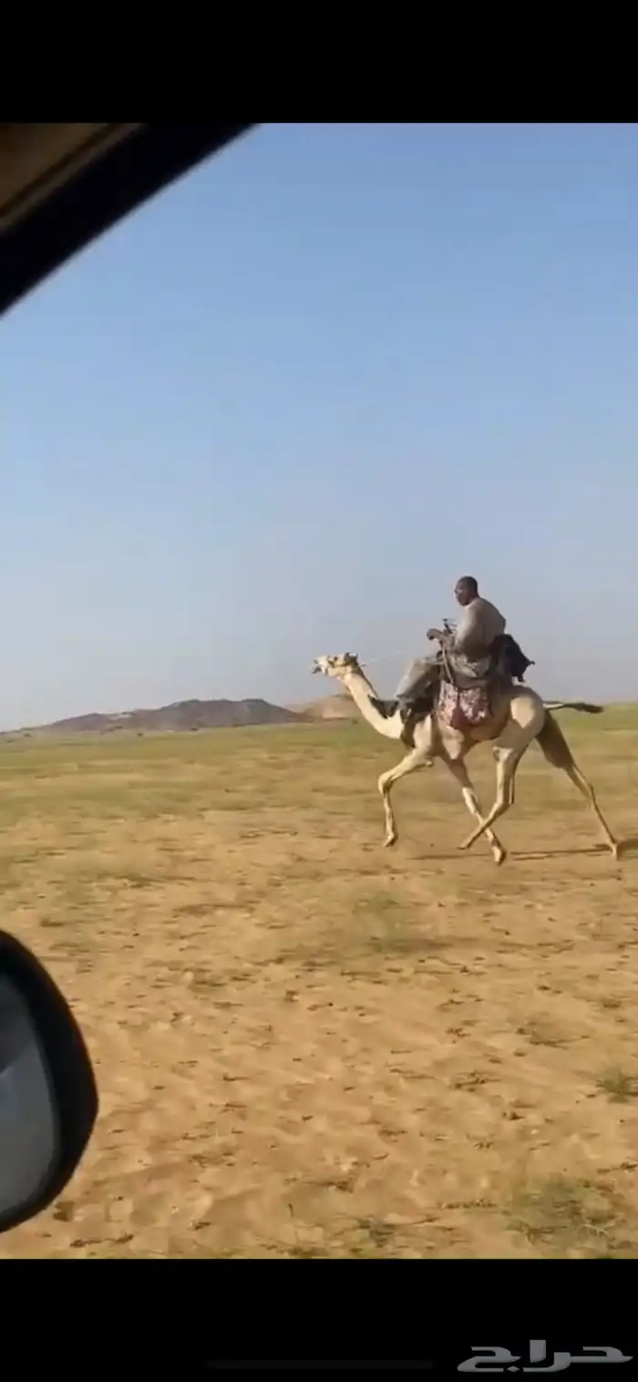 ماشالله تبارك الله بكره طايعه مشروطه من جميع العذريب 1