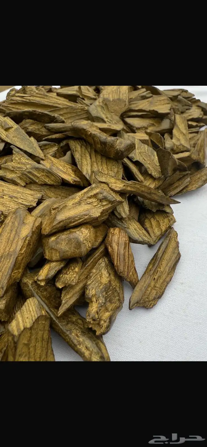 عود موروكي وكلمنتان وتايقر طبيعي من اندونيسيا 5