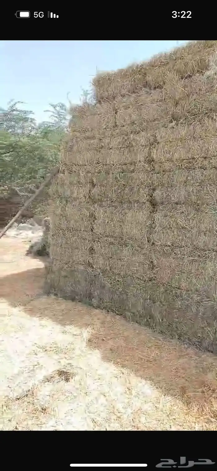 علف رودس للبيع جديد 0