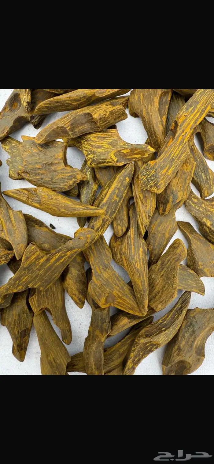 عود موروكي وكلمنتان وتايقر طبيعي من اندونيسيا 0