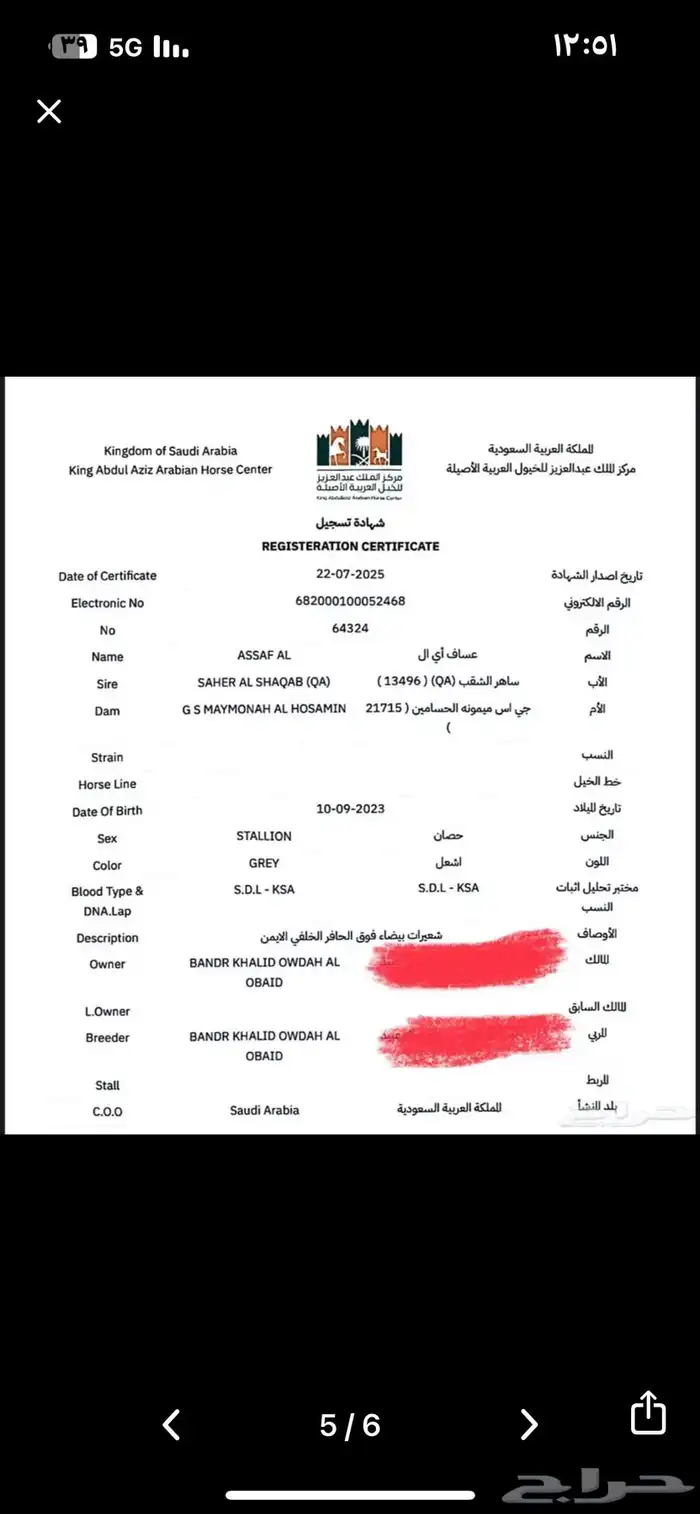 حصان واهو 4