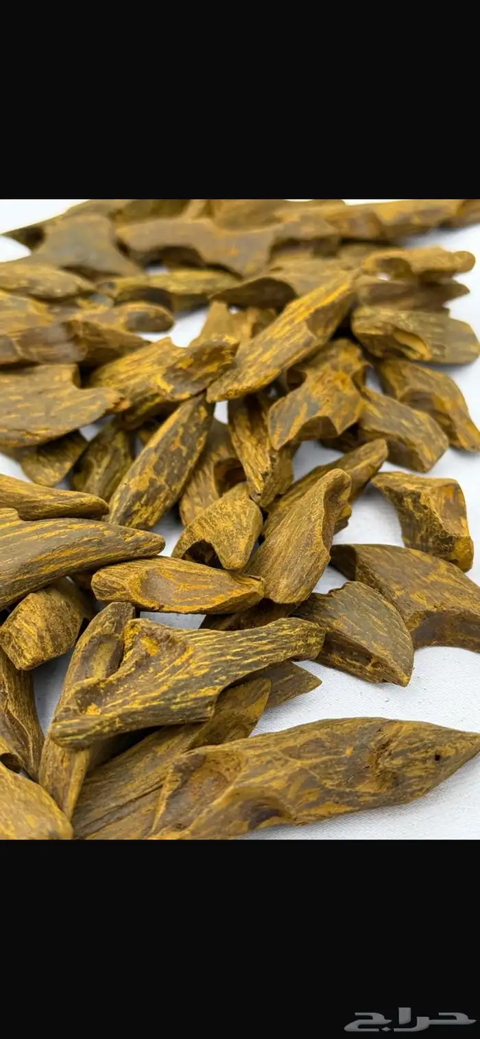 عود موروكي وكلمنتان وتايقر طبيعي من اندونيسيا 1