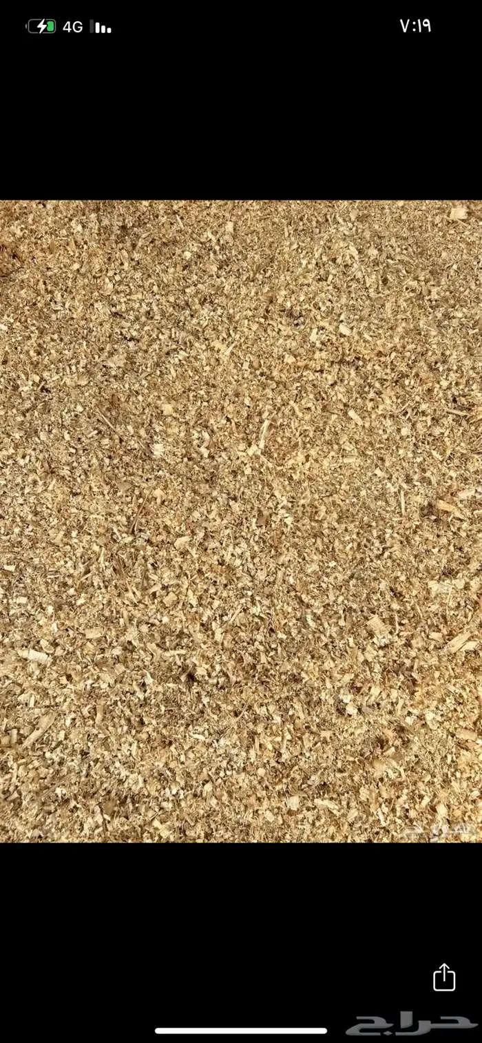 نشارة دواجن 1