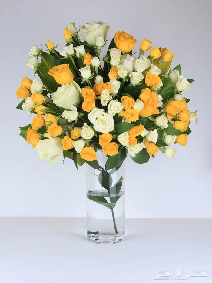 تصوير منتجات ومناسبات 5