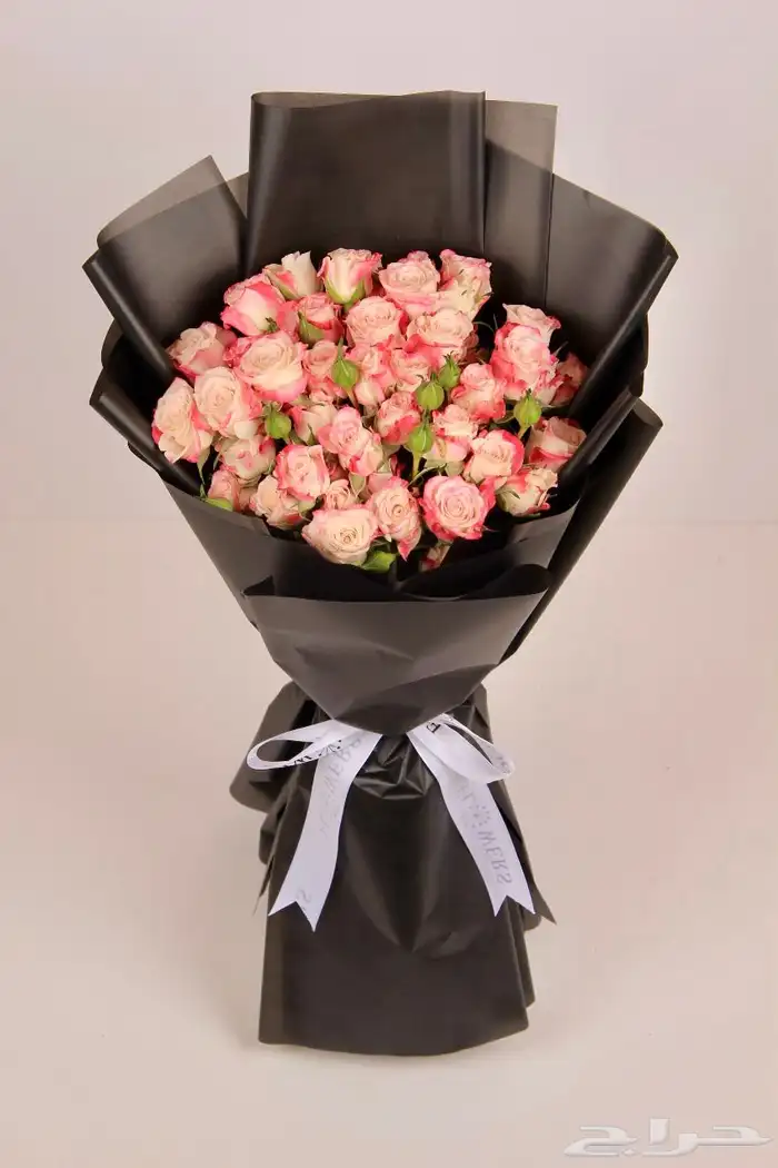 تصوير منتجات ومناسبات 4