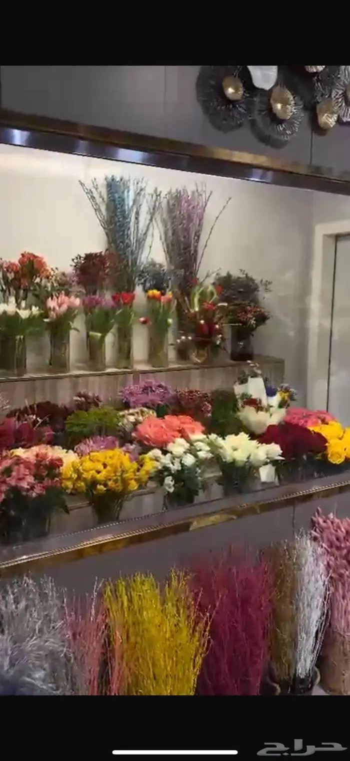 للبيع اغراض محل ورد بالكامل 1