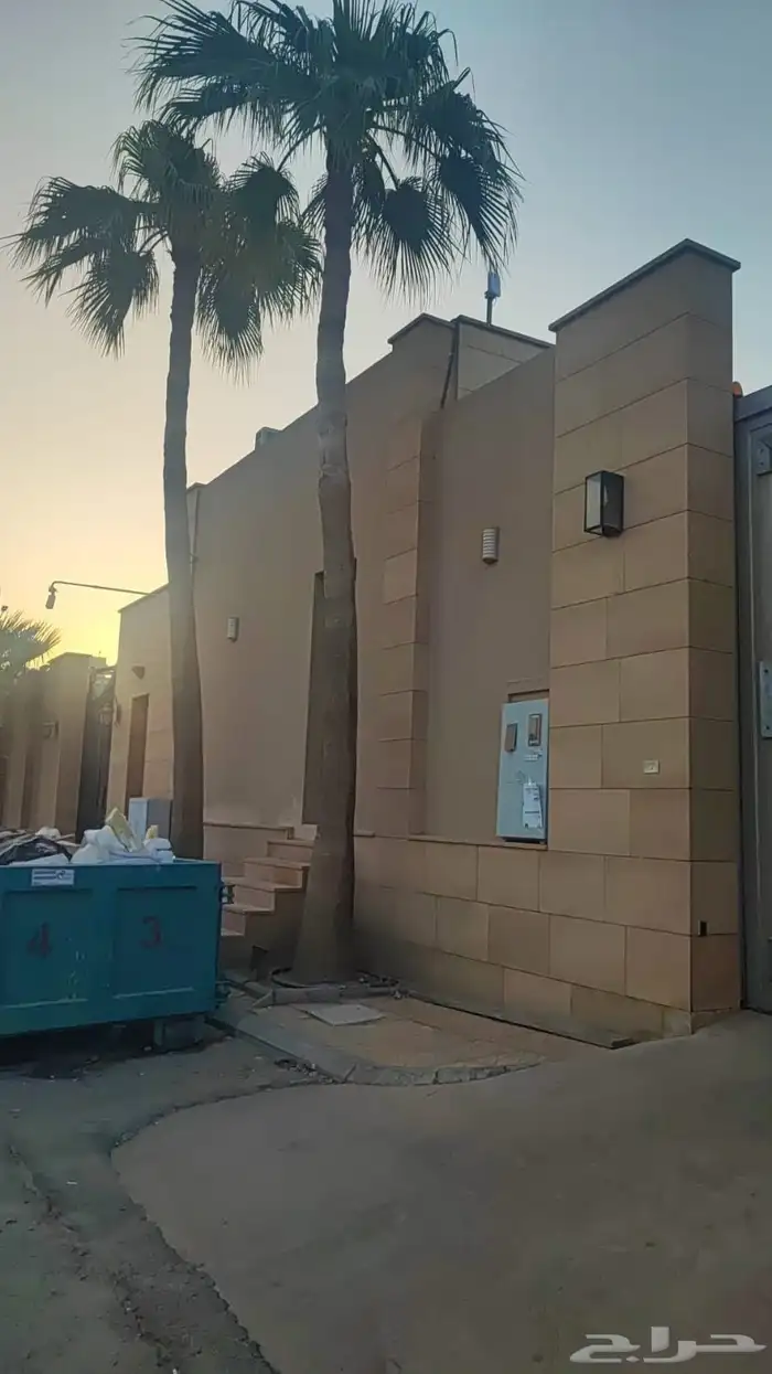 نخيل وشنطني للبيع اطول من 6متر الا 9متر العدد 9حبات 1