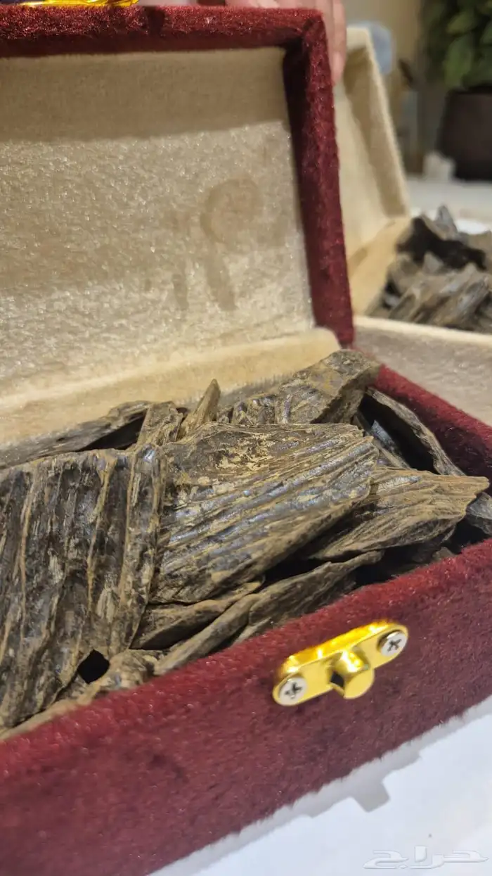 بخور كلمنتان محسن 2