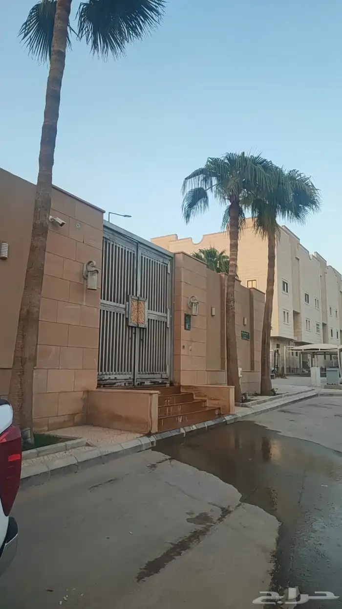 نخيل وشنطني للبيع اطول من 6متر الا 9متر العدد 9حبات 0