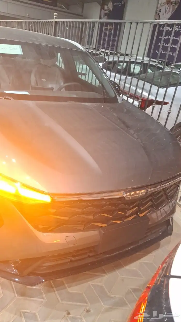 جيلي ستار راي 2026 1
