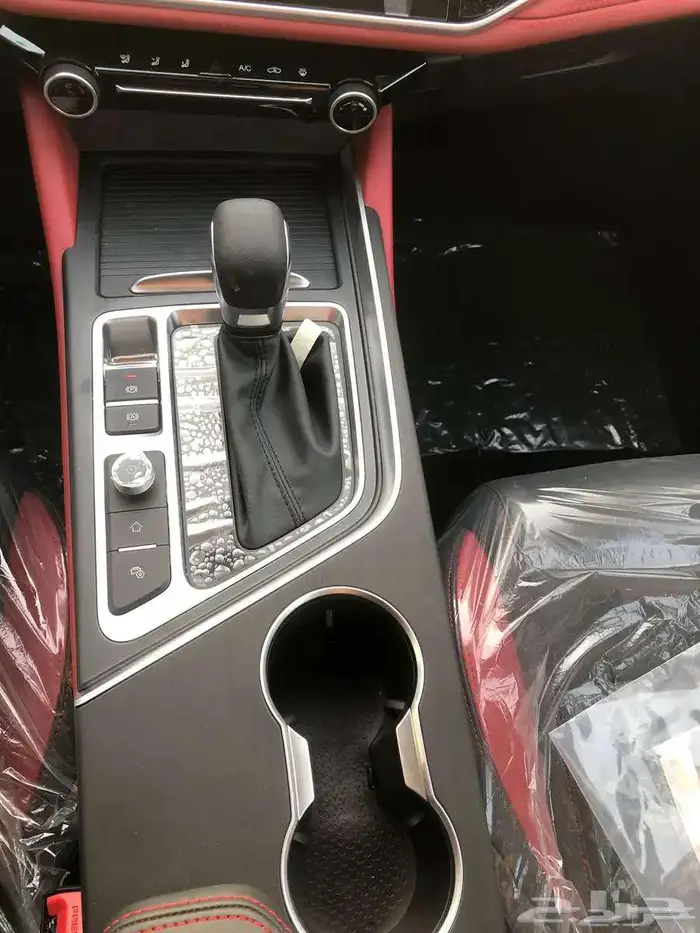 شيري اريزو6 2025 8