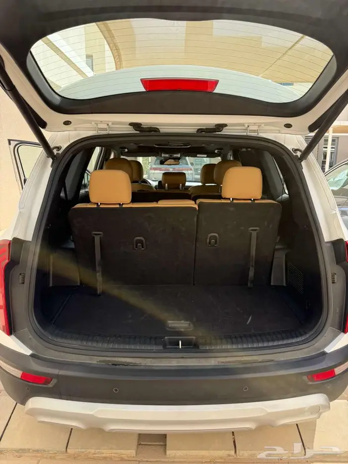 Kia Telluride EX 2021 5