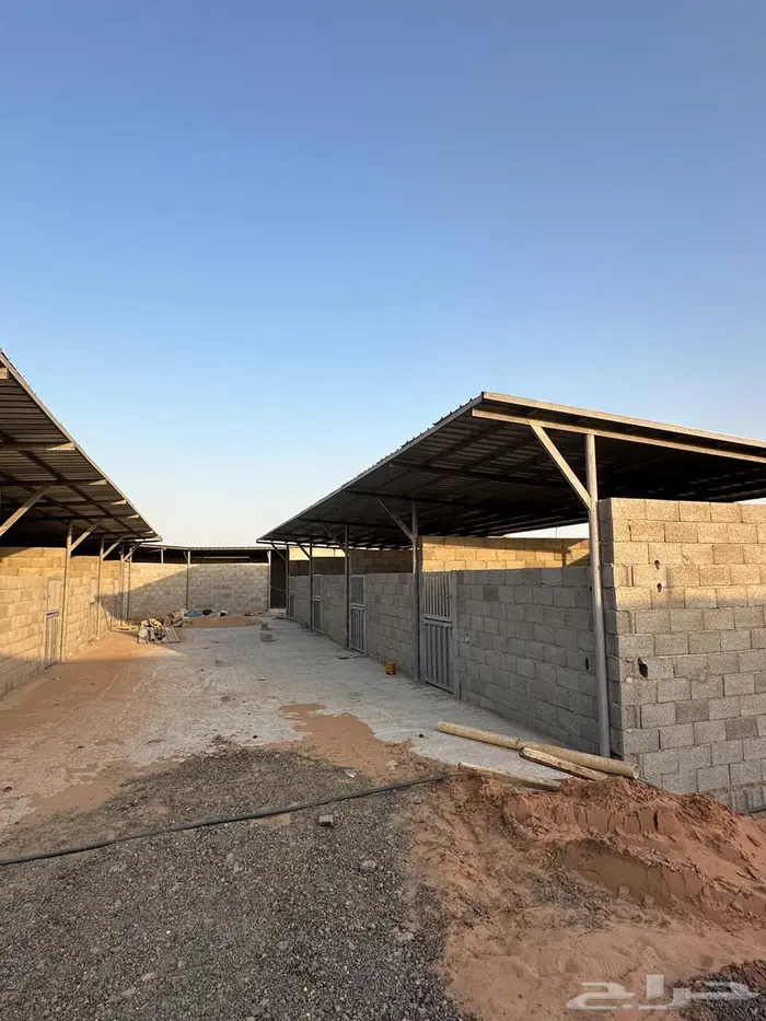اسطبل للايجار - غرف خيل -القصيم - البدايع 0