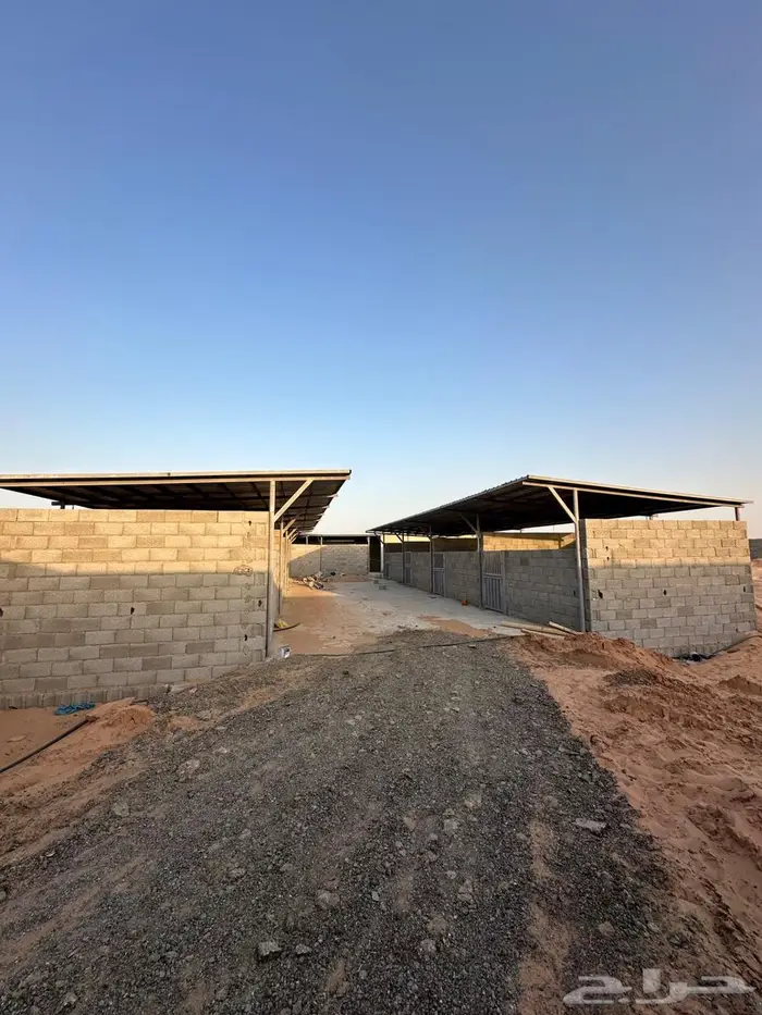 اسطبل للايجار - غرف خيل -القصيم - البدايع 4