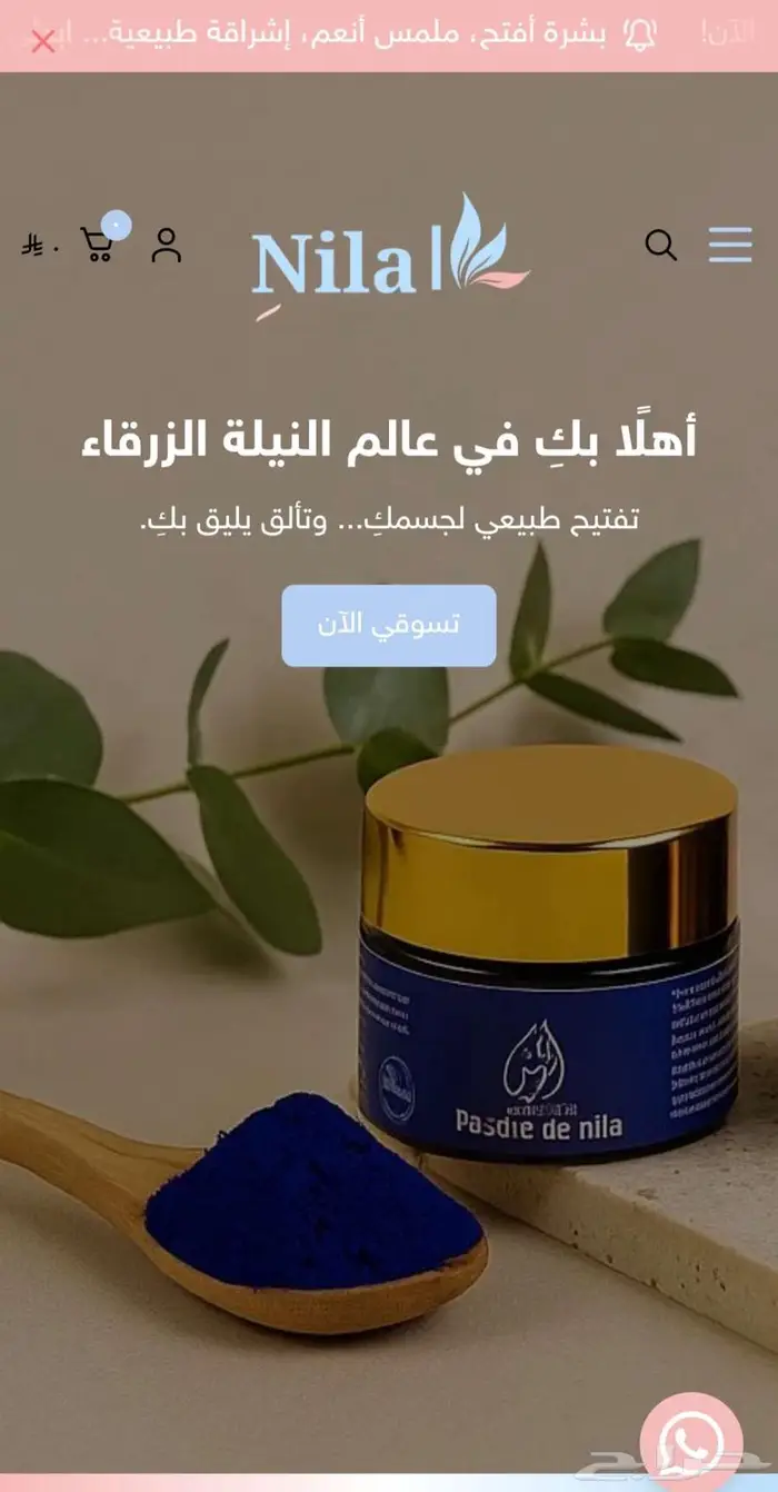 إنشاء متجر إلكتروني   متجر سلة   نطلق مشروعك الجاهز للبيع 1