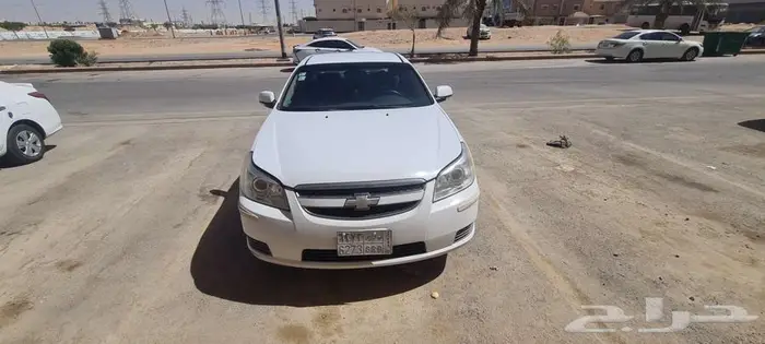 ابيكا شفر 2010 5