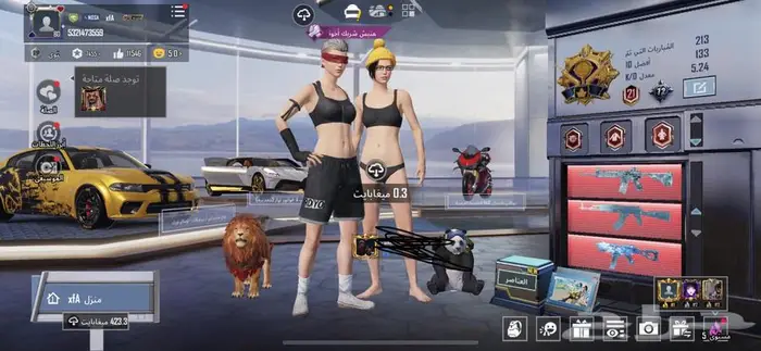 ببجي 2