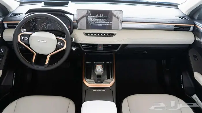 هافال جوليان اكتف بلس 2024 سعر مجنووننن 16