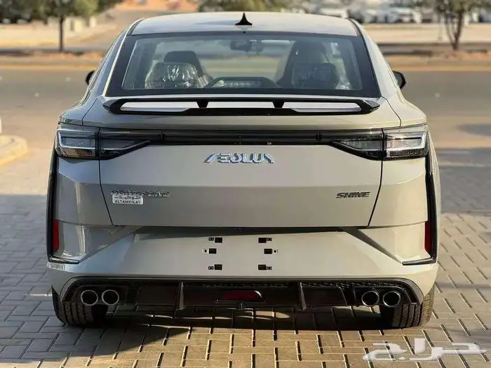 دونج فينج شاين 2025 3