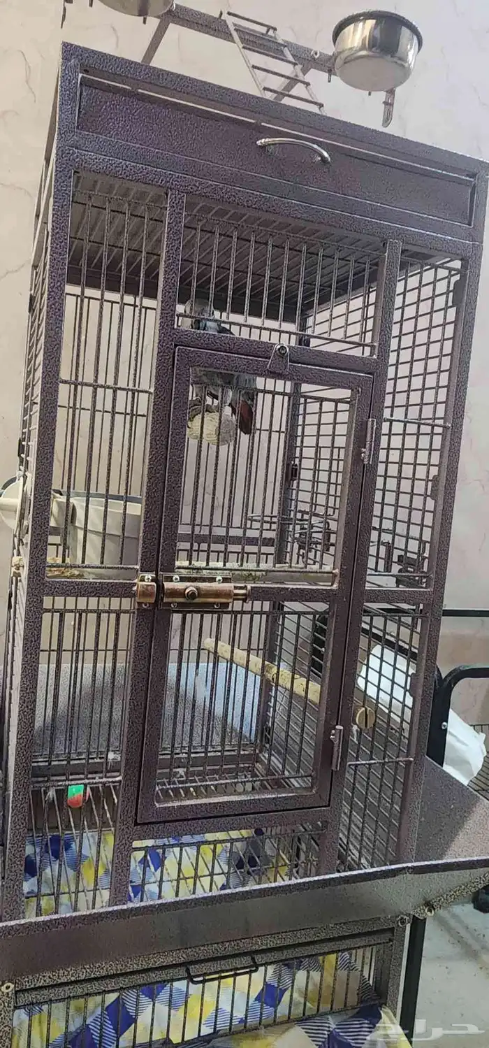 كاسكو للبيع 4