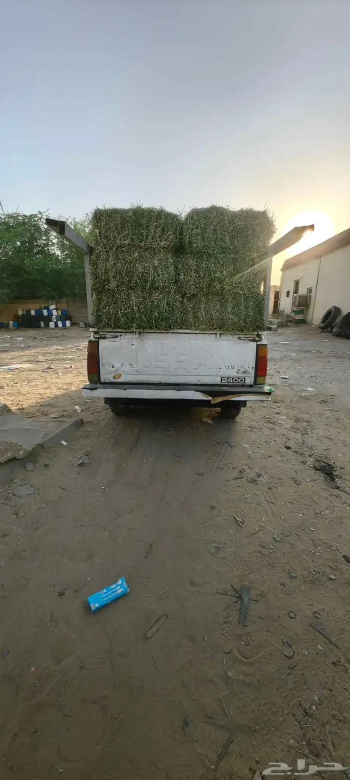 سياره داتسون نظيفه 3